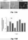 Fig. 43 - Methods of treating Danon disease