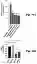 Fig. 52 - Methods of treating Danon disease