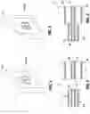 Fig. 03 - CONCRETE DOWEL PLACEMENT SYSTEM AND METHOD OF MAKING THE SAME