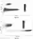 Fig. 04 - Two single crystals based phoswich detector for discriminating various kinds of radiations