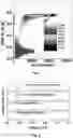 Fig. 06 - Two single crystals based phoswich detector for discriminating various kinds of radiations