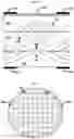 Fig. 05 - Optical elements having gradient optical properties