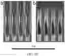 Fig. 40 - Metallic grating