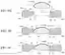 Fig. 10 - LENS UNIT AND METHOD FOR MANUFACTURING LENS UNIT