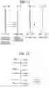 Fig. 07 - Imaging lens system