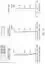 Fig. 13 - Photographing optical lens assembly, image capturing device and electronic device