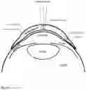 Fig. 03 - Advanced optical designs for eye-mounted imaging systems