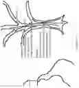 Fig. 72 - Content presentation in head worn computing