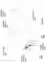 Fig. 85 - Content presentation in head worn computing