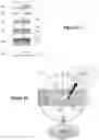 Fig. 09 - Device for forming nanojet beams in a near zone, from incident electromagnetic waves