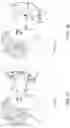 Fig. 08 - Display system providing concentric light field and monocular-to-binocular hybridization