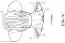Fig. 09 - Display system providing concentric light field and monocular-to-binocular hybridization