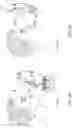 Fig. 12 - Display system providing concentric light field and monocular-to-binocular hybridization