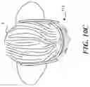 Fig. 16 - Display system providing concentric light field and monocular-to-binocular hybridization