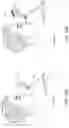 Fig. 17 - Display system providing concentric light field and monocular-to-binocular hybridization
