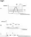 Fig. 08 - Imaging system and imaging method