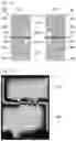 Fig. 09 - Liquid crystal display panel, liquid crystal display panel manufacturing method, and liquid crystal display panel manufacturing device
