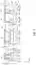 Fig. 06 - Electro-optical device and electronic apparatus