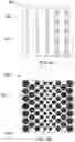 Fig. 06 - MADE-TO-STOCK PATTERNED TRANSPARENT CONDUCTIVE LAYER