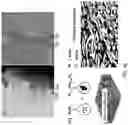 Fig. 05 - Electrochromic device