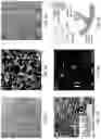 Fig. 10 - Electrochromic device