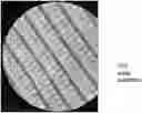 Fig. 01 - Photoresist stripper composition