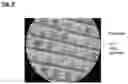 Fig. 04 - Photoresist stripper composition