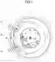 Fig. 02 - MOVEMENT OF ELECTRONIC TIMEPIECE AND ELECTRONIC TIMEPIECE
