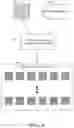 Fig. 05 - Occupancy grid movie system