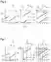 Fig. 05 - Method and control unit for a system for controlling a motor vehicle