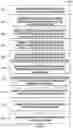 Fig. 18 - Gridlock solver for motion planning system of an autonomous vehicle