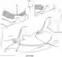 Fig. 13 - Survey migration system for vertical take-off and landing (VTOL) unmanned aerial vehicles (UAVs)