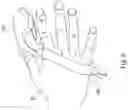 Fig. 08 - System and method for detecting hand gesture