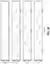 Fig. 27 - Devices and methods for determining relative motion