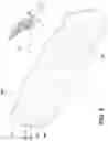 Fig. 06 - Piezoelectric films with low haze and methods of making and using