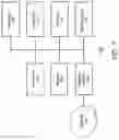 Fig. 07 - ESTABLISHING AND USING VIRTUAL ASSETS ON TANGIBLE OBJECTS IN AUGMENTED REALITY (AR) AND VIRTUAL REALITY (VR)
