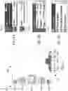 Fig. 13 - Systems and methods for programming mobile devices