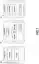 Fig. 11 - Efficient bundling and delivery of client-side scripts