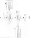 Fig. 07 - Making precise operand-store-compare predictions to avoid false dependencies
