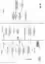 Fig. 06 - System and method of identifying and addressing anomalies in a system