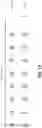 Fig. 22 - Memory compression hashing mechanism