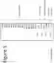Fig. 06 - Low-pincount high-bandwidth memory and memory bus
