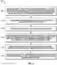 Fig. 07 - Prioritizing and resolving inconsistencies in digital evidence