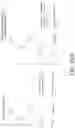 Fig. 36 - Cursor with last observed access state