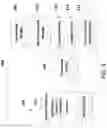 Fig. 12 - TASTE EXTRACTION CURATION AND TAGGING