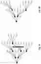 Fig. 09 - A METHOD AND APPARATUS FOR ENCODING/DECODING THE GEOMETRY OF A POINT CLOUD REPRESENTING A 3D OBJECT