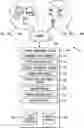 Fig. 01 - Communication protocols for an online content management system