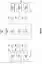 Fig. 09 - Input and output schema mappings
