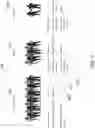 Fig. 04 - Digital footprint visual navigation