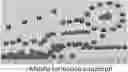Fig. 01 - Non-rinse micellar water chassis